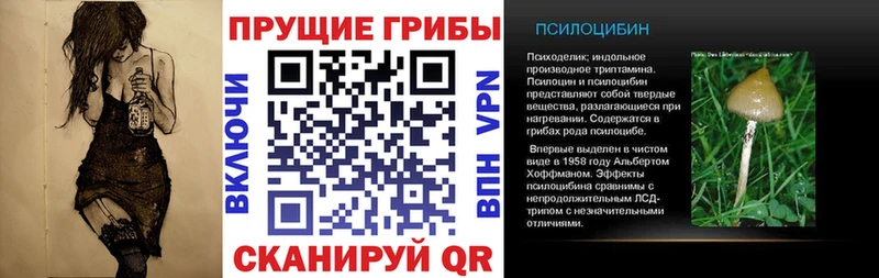 Галлюциногенные грибы Psilocybine cubensis  Оленегорск 